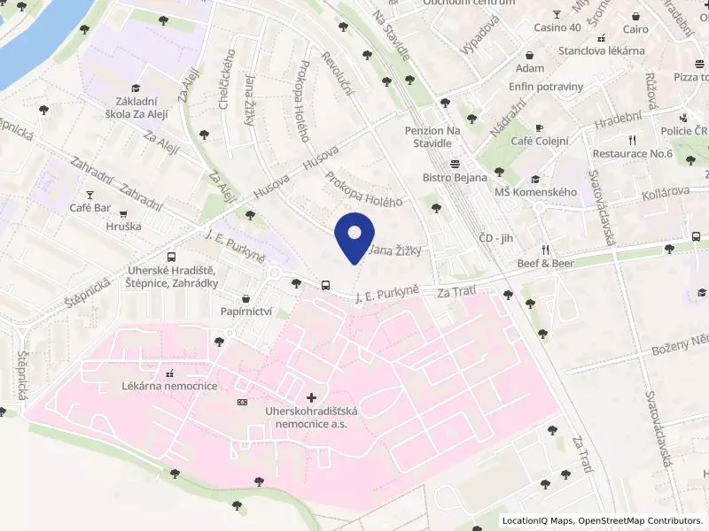 Dům dětí a mládeže, Uherské Hradiště, Purkyňova 494, příspěvková organizace, J. E. Purkyně 494, 68606 Uherské Hradiště - Uherské Hradiště, IČO 75089602