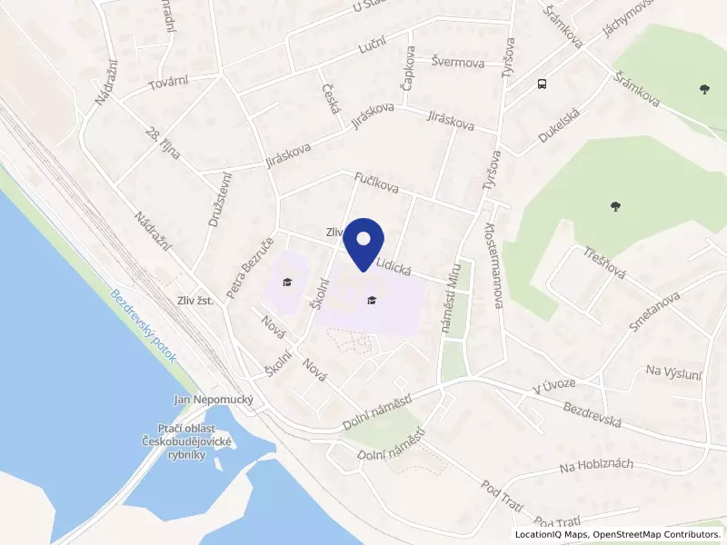 Základní škola a Základní umělecká škola, Zliv, okr. České Budějovice, Lidická 315, 37344 Zliv - Zliv, IČO 00581623