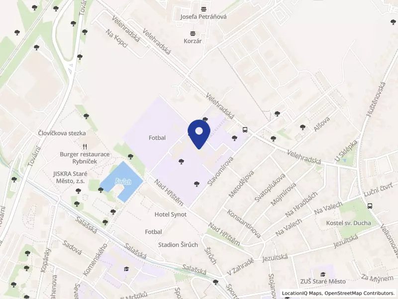 Střední odborná škola a Gymnázium Staré Město, Velehradská 1527, 68603 Staré Město - Staré Město, IČO 60371790