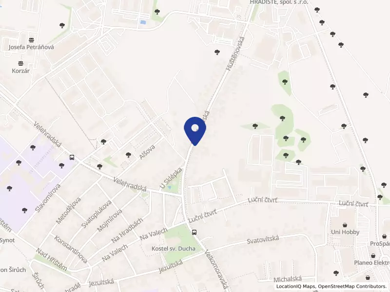 Protetické centrum s.r.o., Staré Město, Huštěnovská 164, 68603 Staré Město - Staré Město, IČO 63475057