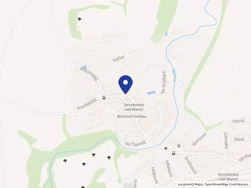 PIZZERIA San Marco s.r.o., Strunkovice nad Blanicí, 4, 38426 Strunkovice nad Blanicí - Strunkovice nad Blanicí, IČO 26090333