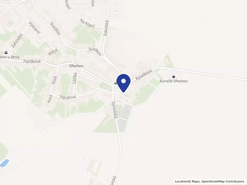 OREA medcare s.r.o., Kyselkova 90/2, 66444 Ořechov - Ořechov, IČO 29190363