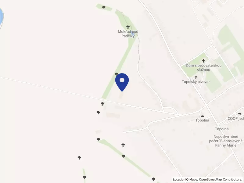 BOHEMIA transport cz s.r.o., 494, 68711 Topolná - Topolná, IČO 26250926