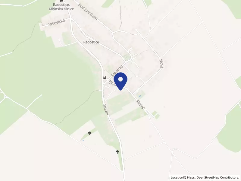 Základní škola a Mateřská škola Radostice, okres Brno-venkov, příspěvková organizace, Školní 80, 66446 Radostice - Radostice, IČO 70995141
