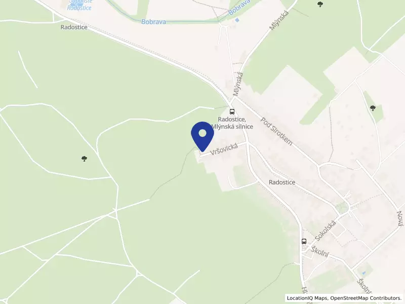 LIMAK speed s.r.o., Vršovická 136, 66446 Radostice - Radostice, IČO 29230241