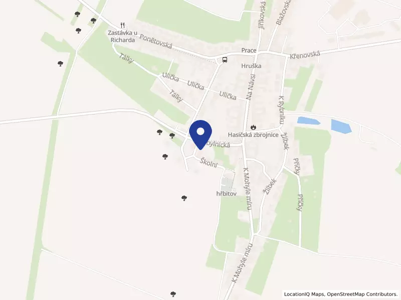 Buddyjet s.r.o., Školní 104, 66458 Prace - Prace, IČO 29355150