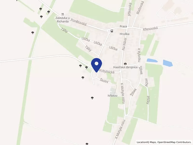 Základní škola a Mateřská škola Prace, okr. Brno-venkov, příspěvková organizace, Školní 109, 66458 Prace - Prace, IČO 70499870