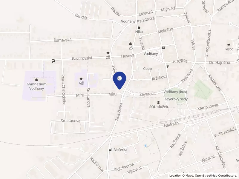 IVAN SVATOŠ a.s., Palackého 1231, 38901 Vodňany - Vodňany II, IČO 25151673