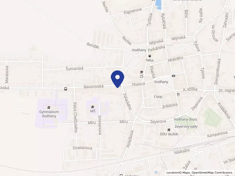 Knihovna Gelasta Vodňanského, Vodňany, Bavorovská 83, 38901 Vodňany - Vodňany II, IČO 00367893