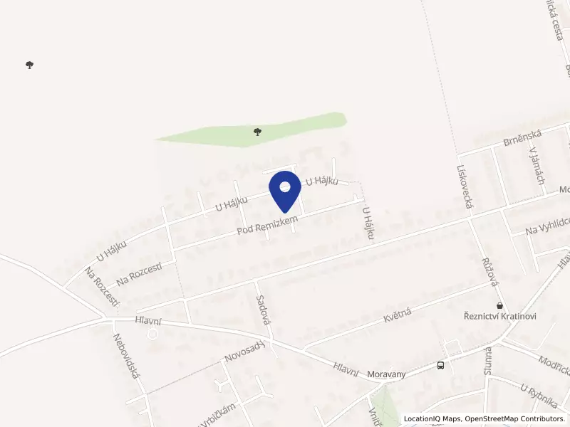 Medical Es-ter s.r.o., Pod Remízkem 655/15, 66448 Moravany - Moravany, IČO 21670510