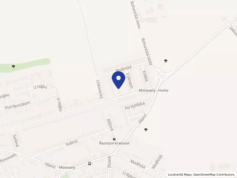 MUDr. Pavel Zmeškal s.r.o., Švédské kříže 579/4, 66448 Moravany - Moravany, IČO 02240238