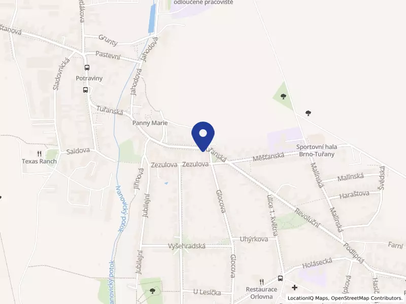 Autodoprava Trepeš s.r.o., Tuřanská 398/34a, 62000 Brno - Brněnské Ivanovice, IČO 05691273