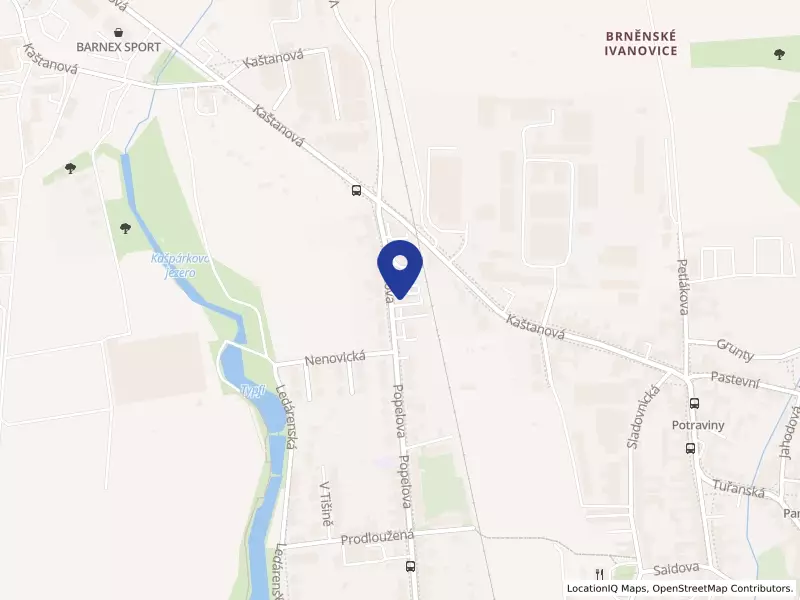 Pavigo s.r.o., Popelova 553/49, 62000 Brno - Brněnské Ivanovice, IČO 26236621
