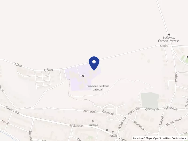 Základní škola Bučovice 711, příspěvková organizace, Školní 711, 68501 Bučovice - Bučovice, IČO 46271171