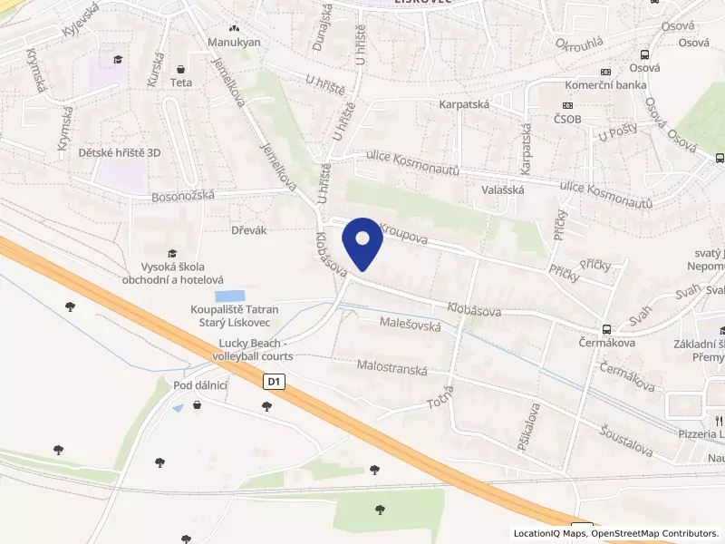 DOLP stavební společnost s.r.o., Brno, Bednářova 30a, okres Brno-město, PSČ 61900, IČO 49453190