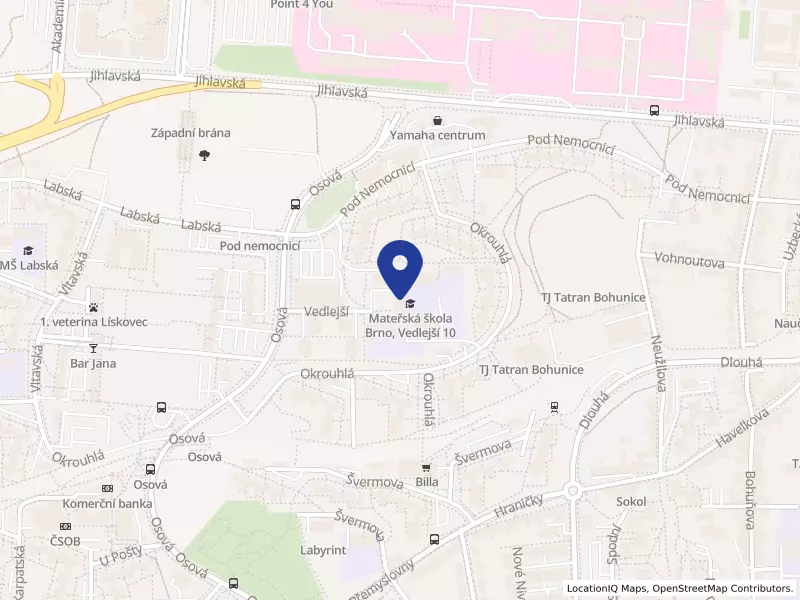 Základní škola  a mateřská škola Brno, Vedlejší 10, příspěvková organizace, Vedlejší 655/10, 62500 Brno - Bohunice, IČO 60555823