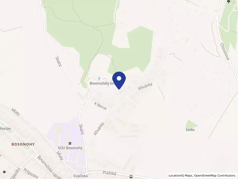 VISE Senio a.s., Křivánky 729/7, 64200 Brno - Bosonohy, IČO 06516581