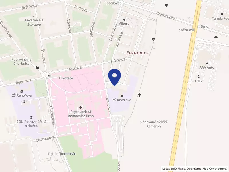 Základní škola, Brno, Kneslova 28, příspěvková organizace, Kneslova 697/28, 61800 Brno - Černovice, IČO 49466321
