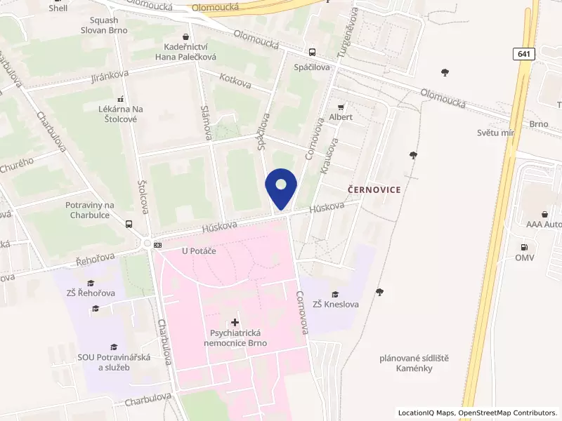 Pavlyuk & Hildebrandt s.r.o., Húskova 678/45, 61800 Brno - Černovice, IČO 07969341