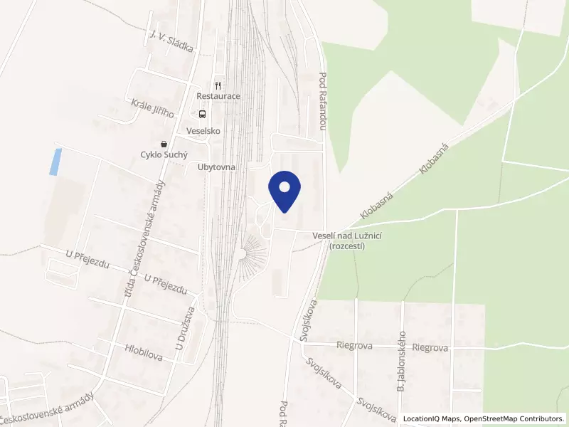 DC assist  s.r.o., Pod Rafandou 906, 39181 Veselí nad Lužnicí - Veselí nad Lužnicí II, IČO 14079224