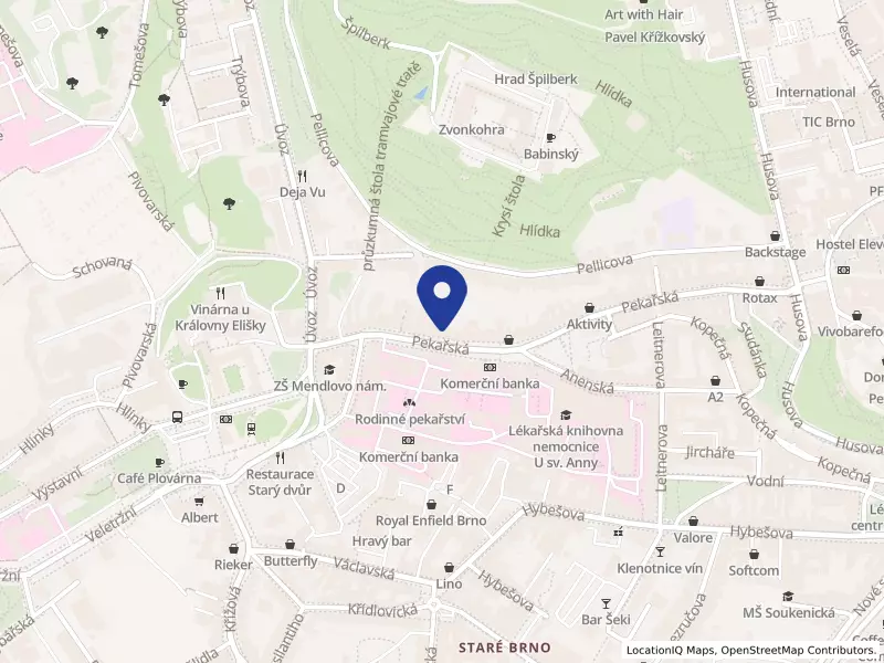 Radiosono s.r.o., Brno, Pekařská 433/68, 60200 Brno - Staré Brno, IČO 01690655