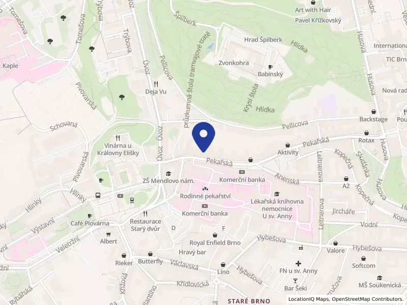 Mecenáš s.r.o., Pekařská 364/76, 60200 Brno - Staré Brno, IČO 29304903