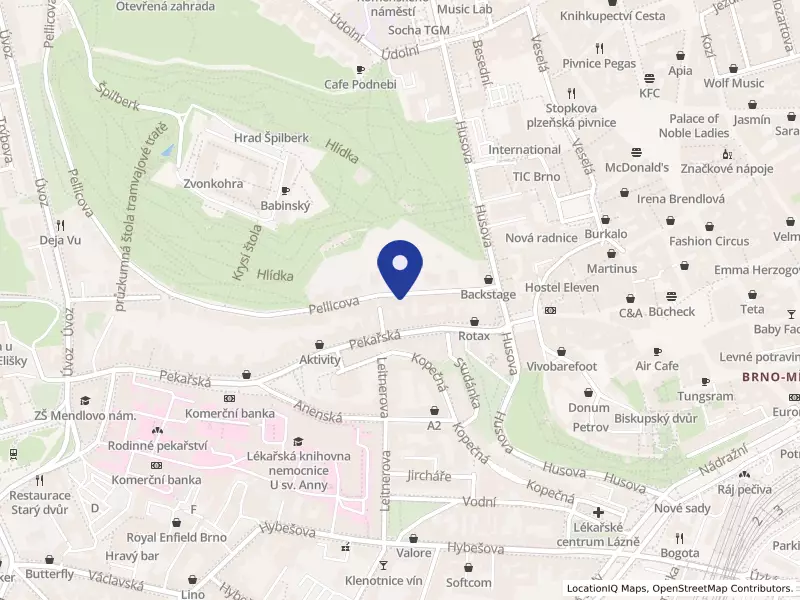AI check, s.r.o., Brno, Pellicova 113/3c, 60200 Brno - Staré Brno, IČO 09830481