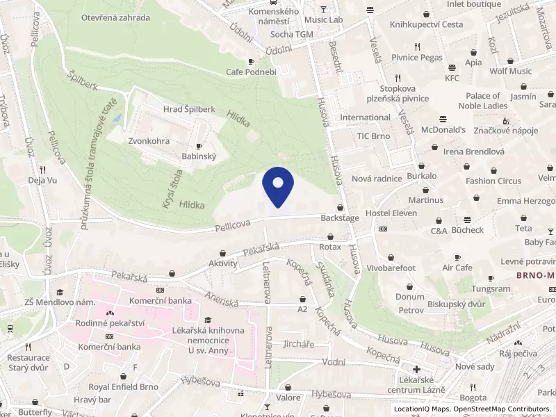 Školní jídelna Brno, Pellicova 4, příspěvková organizace, Brno, Pellicova 21/4, 60200 Brno - Brno-město, IČO 60555866