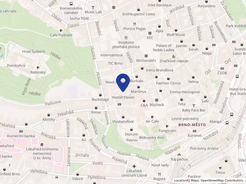 Televizní institut s.r.o., Dominikánská 347/11, 60200 Brno - Brno-město, IČO 14211459