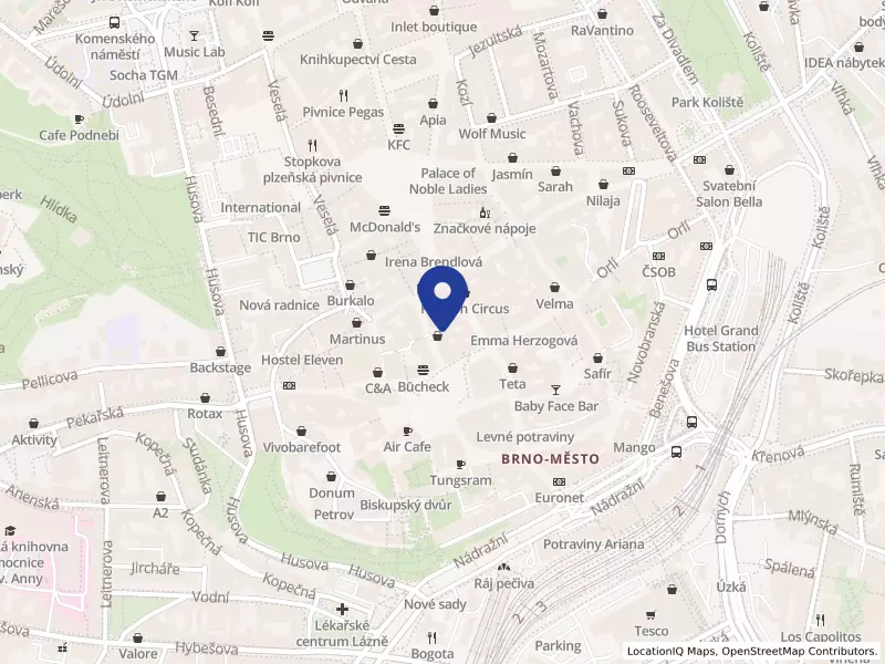 Správa studií s.r.o., Průchodní 377/2, 60200 Brno - Brno-město, IČO 26968941
