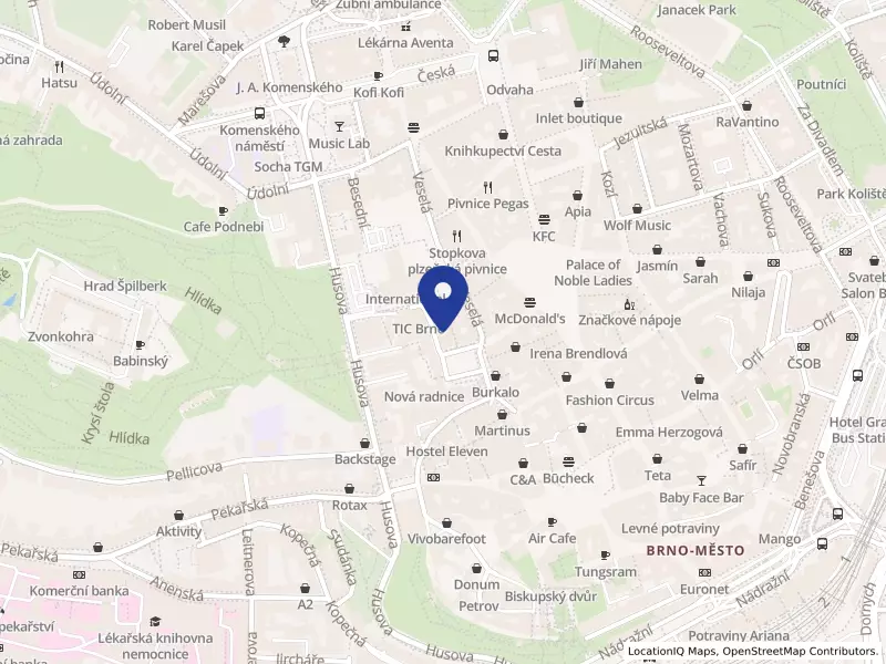 SPP IMMO, s.r.o., Dominikánské náměstí 656/2, 60200 Brno - Brno-město, IČO 04365194