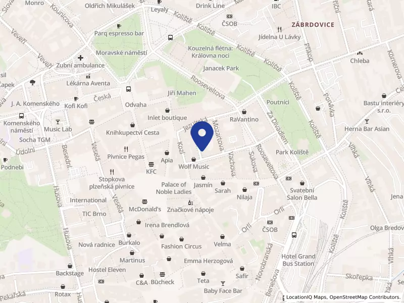 Janáčkova akademie múzických umění, Beethovenova 650/2, 60200 Brno - Brno-město, IČO 62156462