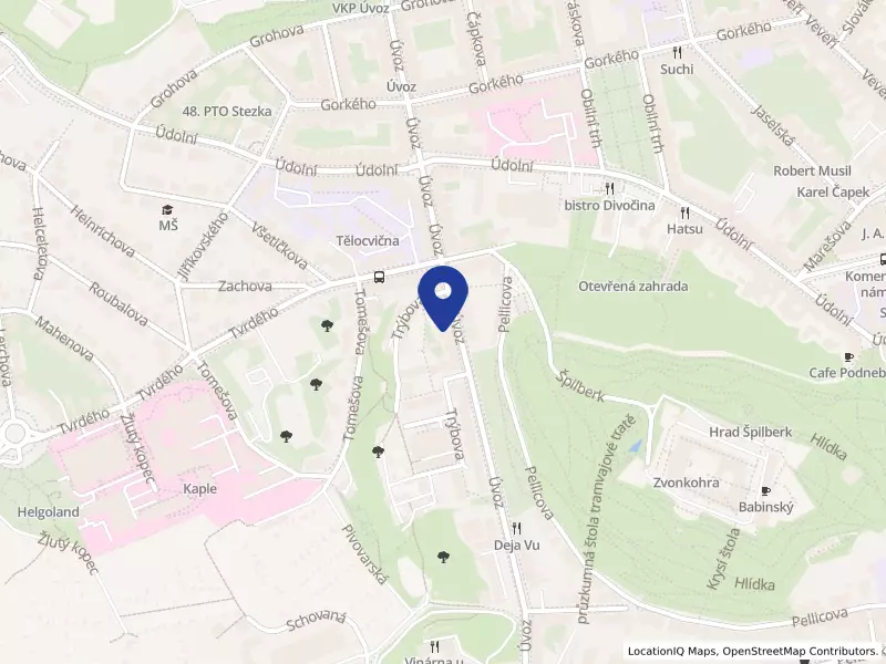 Vědomá školka, z.s., Úvoz 490/25, 60200 Brno - Staré Brno, IČO 04699084