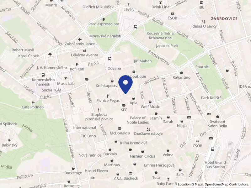 Sherlock Holmes PUB s.r.o., Brno - Brno - střed, Jakubské nám. 2, čp.101, PSČ 602 00, IČO 25530143