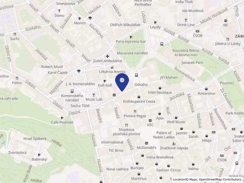 EDUPRO s.r.o., Solniční 640/6, 60200 Brno - Brno-město, IČO 60719737
