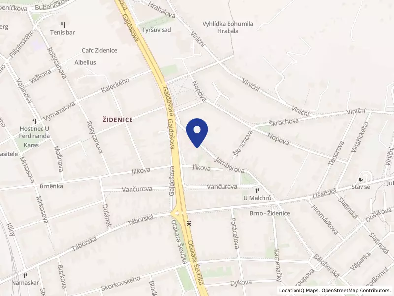 DermAngio s.r.o., Brno, Jamborova 4359/22, 61500 Brno - Židenice, IČO 29215579
