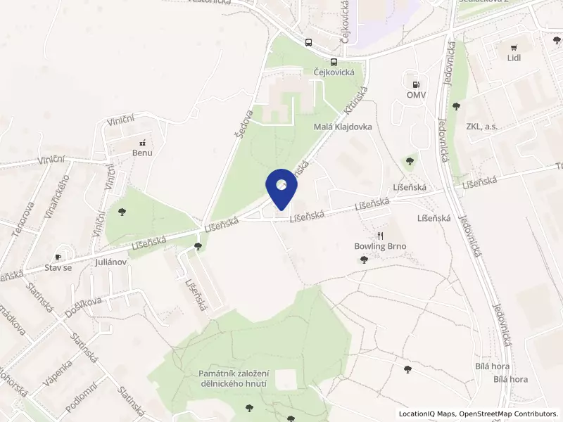 Centrum dopravního výzkumu, v. v. i., Líšeňská 2657/33a, 63600 Brno - Líšeň, IČO 44994575