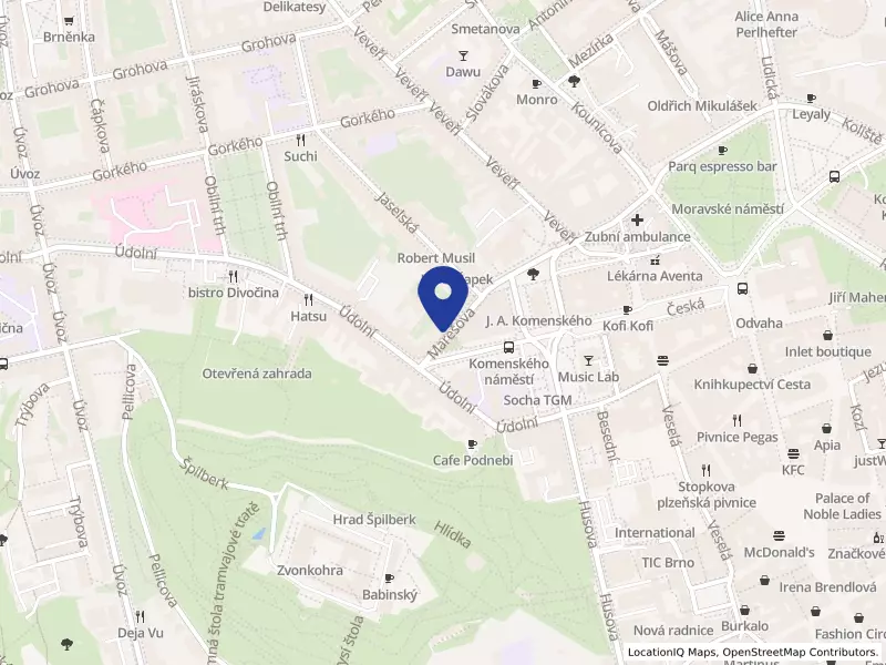 CA Institute s.r.o., Brno, Marešova 304/12, 60200 Brno - Veveří, IČO 02041162