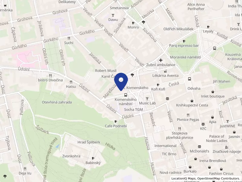 Zvol si info z.s., Joštova 218/10, 60200 Brno - Brno-město, IČO 06992064