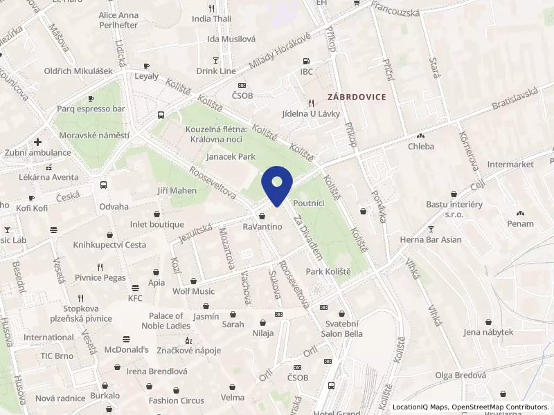 Nejvyšší státní zastupitelství, Jezuitská 585/4, 60200 Brno - Brno-město, IČO 49467352