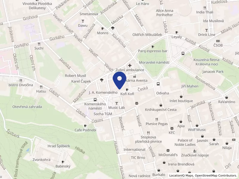 Ústavní soud, Joštova 625/8, 60200 Brno - Brno-město, IČO 48513687