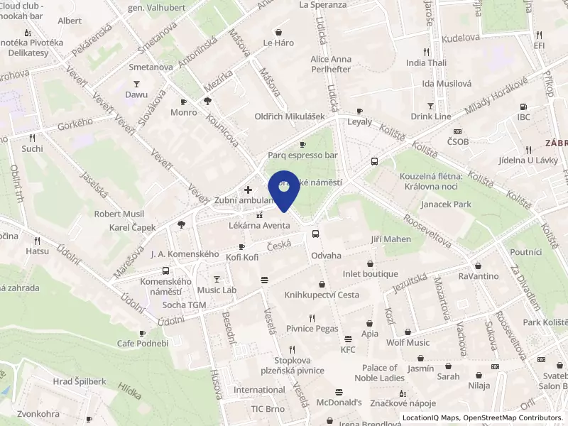INGAME STUDIOS, a.s., Moravské náměstí 249/8, 60200 Brno - Brno-město, IČO 03300897