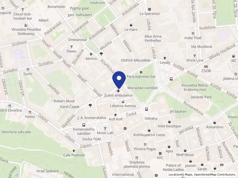 Masarykova univerzita, Žerotínovo náměstí 617/9, 60200 Brno - Brno-město, IČO 00216224