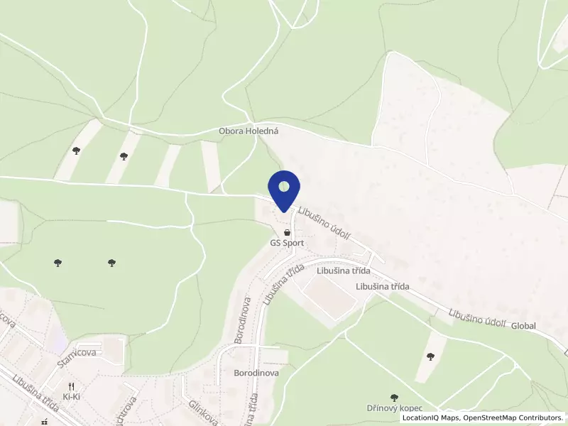 Carsoft CZ s.r.o., Libušino údolí 672/156, 62300 Brno - Kohoutovice, IČO 02026538