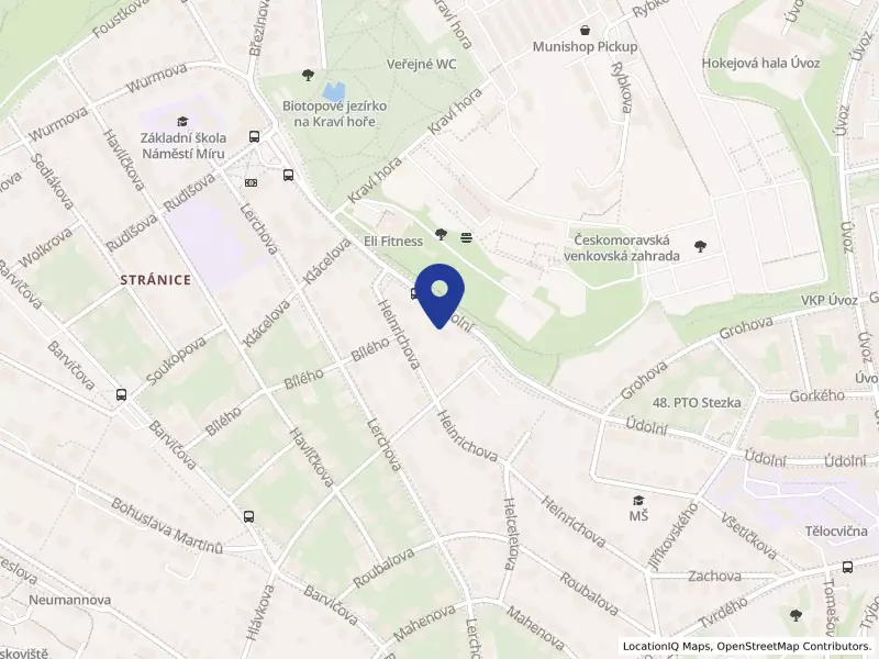 Zdraví s chutí s.r.o., Údolní 558/85, 60200 Brno - Stránice, IČO 63482843