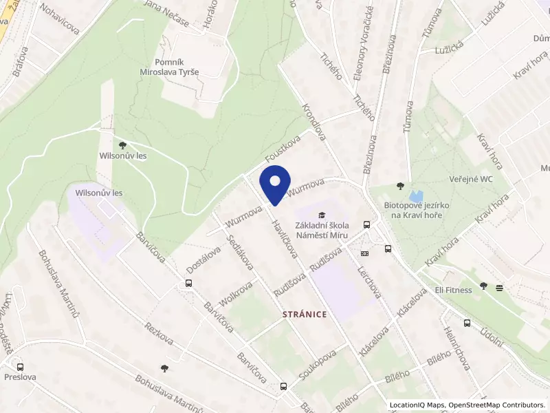 Lékárna na Vyhlídce s.r.o., Wurmova 179/19, 60200 Brno - Stránice, IČO 09862340
