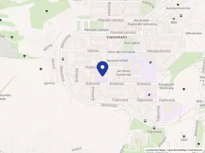 Mateřská škola Bořetická 7, Brno, příspěvková organizace, Brno, Bořetická 4234/7, 62800 Brno - Židenice, IČO 62156811
