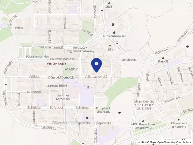 MAIN AUDIT, s.r.o., Brno, Velkopavlovická 4061/8, 62800 Brno - Židenice, IČO 63488019