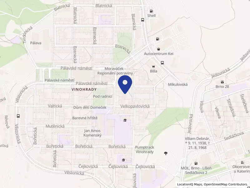 AUDIT BUSINESS SERVICE, s.r.o., Velkopavlovická 4084/12, 62800 Brno - Židenice, IČO 49975323