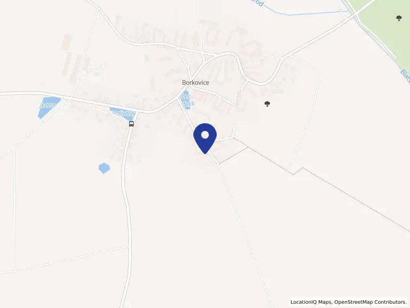 GRAMMP s.r.o., Borkovice, 44, 39181 Borkovice - Borkovice, IČO 27222152
